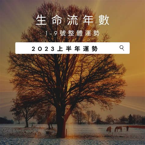 2023生命靈數流年5|【2023生命靈數流年5】2023 生命靈數流年 5 號：桃花運爆棚，。